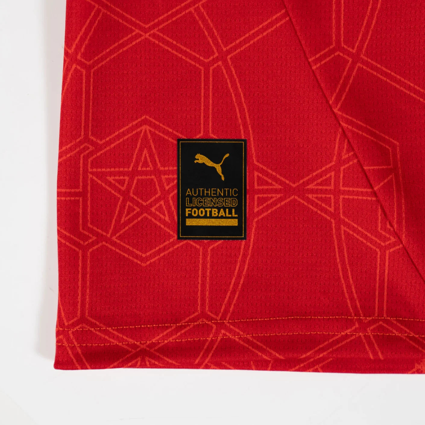Maillot Domicile Maroc